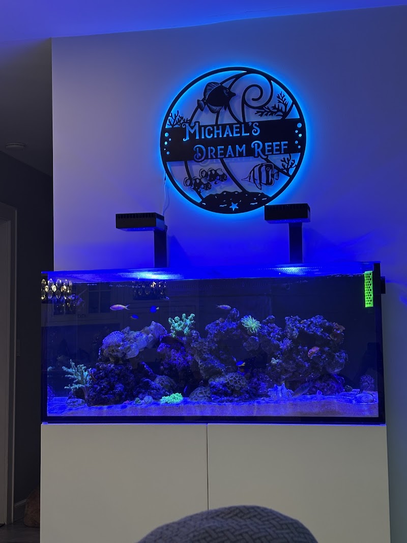 Jersey Corals - Photo 2