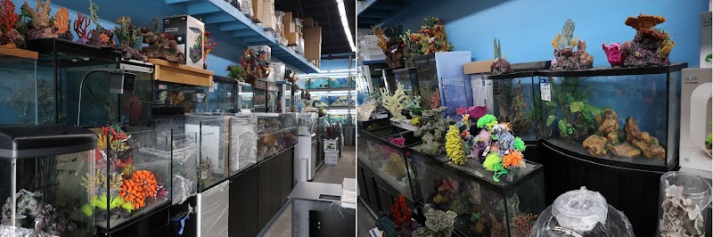 Beital's Aquariums Sales, Services & Ponds - Photo 3