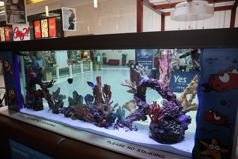 Beital's Aquariums Sales, Services & Ponds - Photo 4