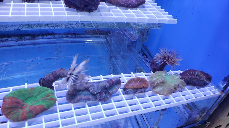 Beital's Aquariums Sales, Services & Ponds - Photo 5
