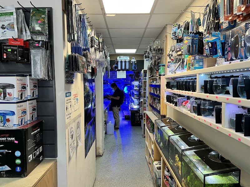 New York Reef Aquatic - Photo 2