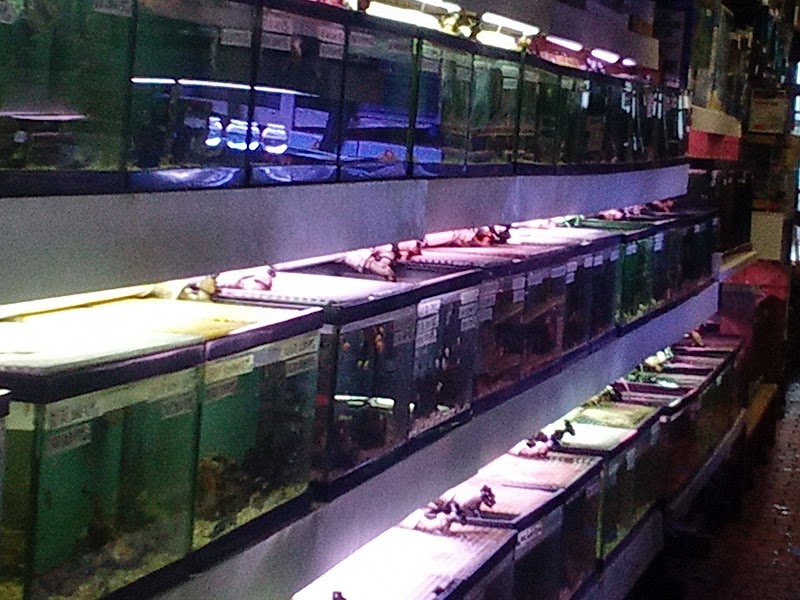 Paradise Aquarium - Photo 2
