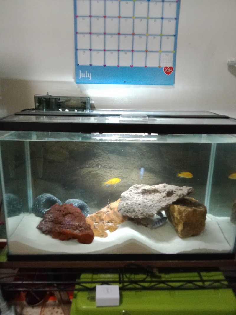 Paradise Aquarium - Photo 3