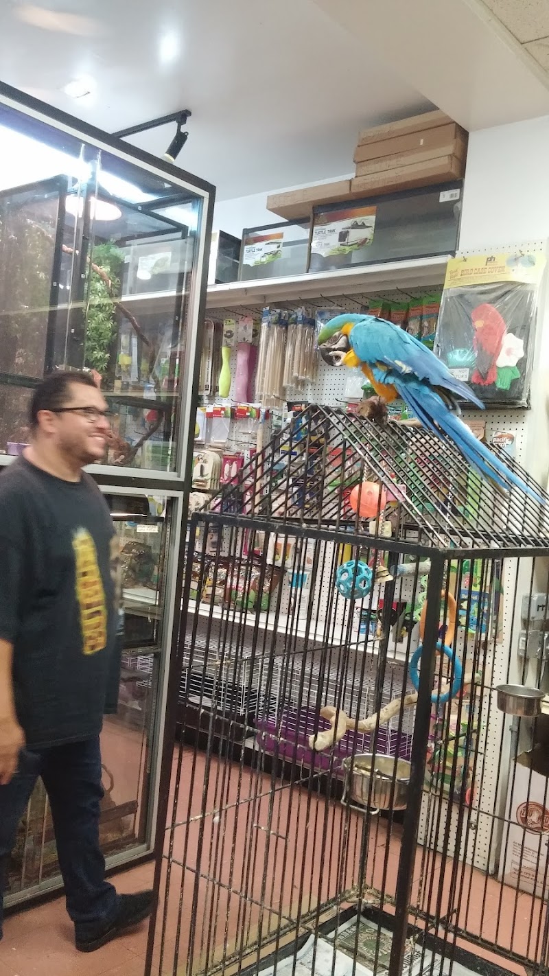 Paradise Aquarium - Photo 4