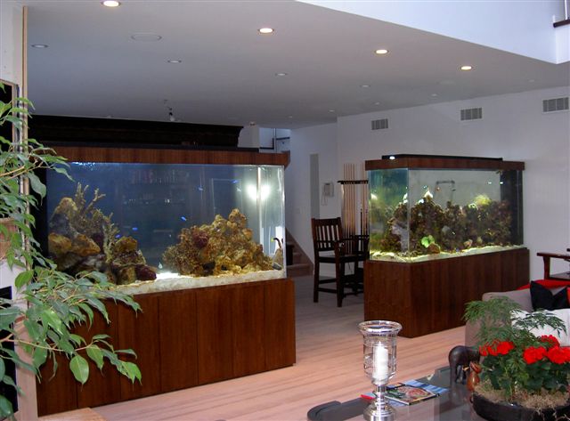 Aquarius Aquariums - Photo 1