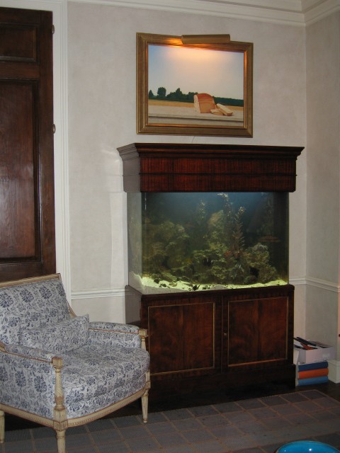 Aquarius Aquariums - Photo 3