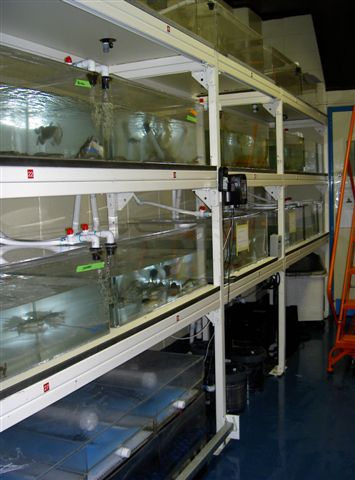 Aquarius Aquariums - Photo 5