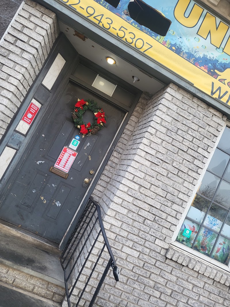 Uniq Pet Imports Pet shop - Photo 1