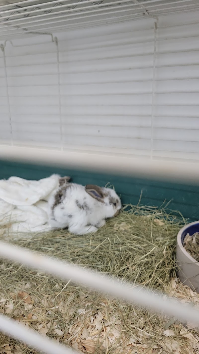 Uniq Pet Imports Pet shop - Photo 3