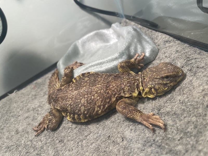 Uniq Pet Imports Pet shop - Photo 4