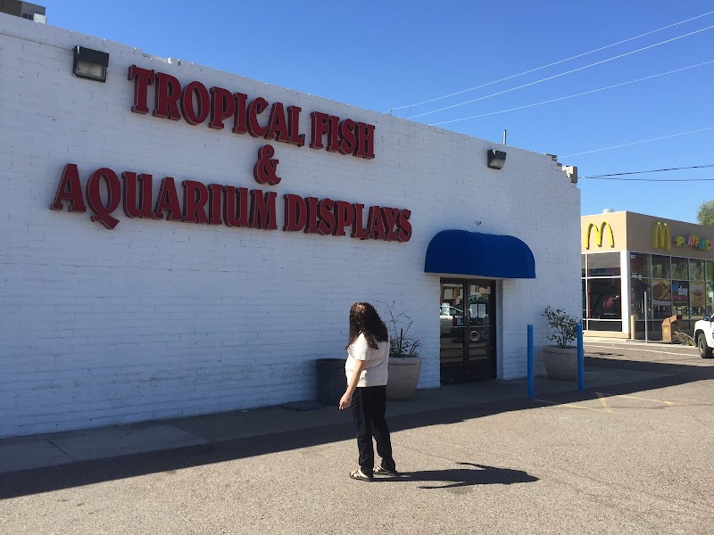 The Ocean Floor - Photo 1