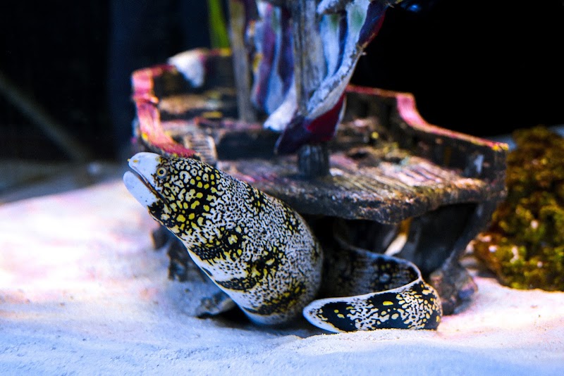 The Ocean Floor - Photo 2