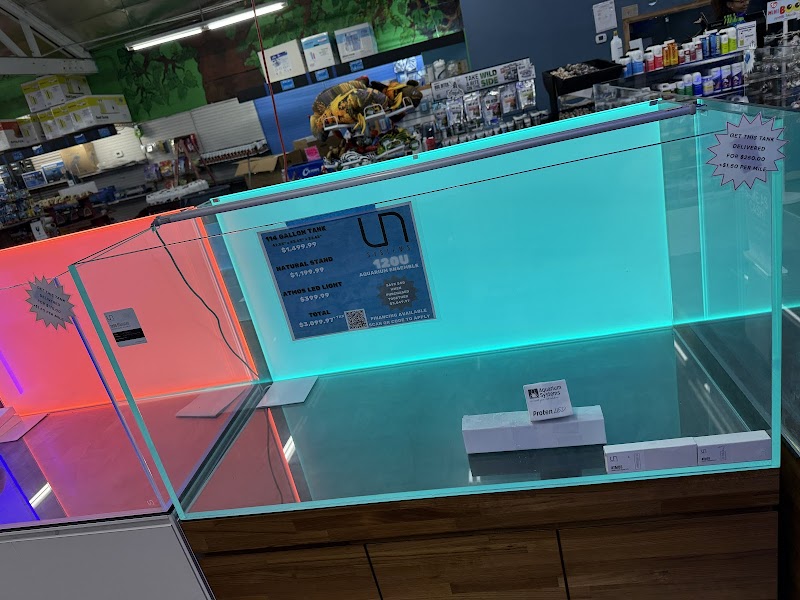 The Ocean Floor - Photo 3