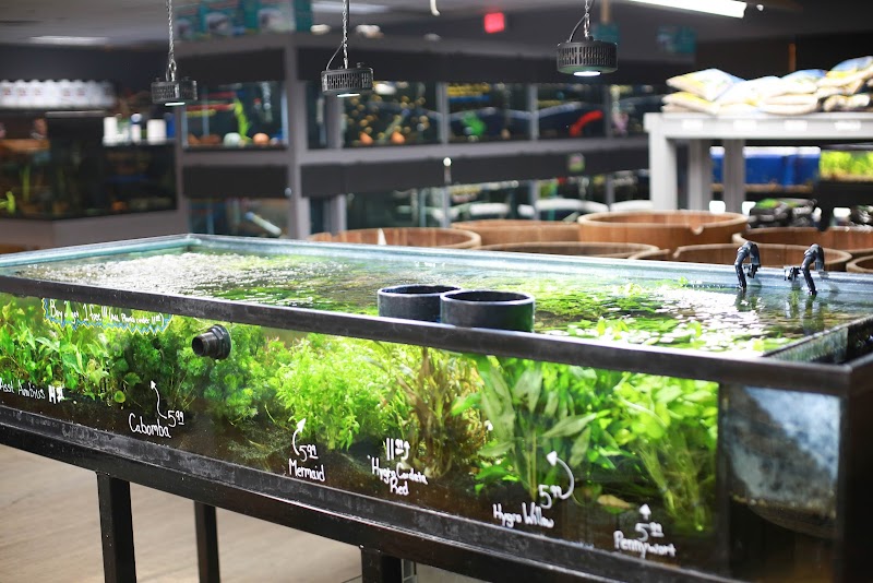 The Ocean Floor - Photo 4