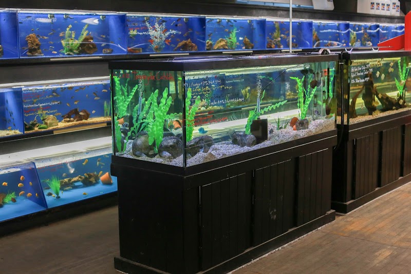 The Ocean Floor - Photo 5