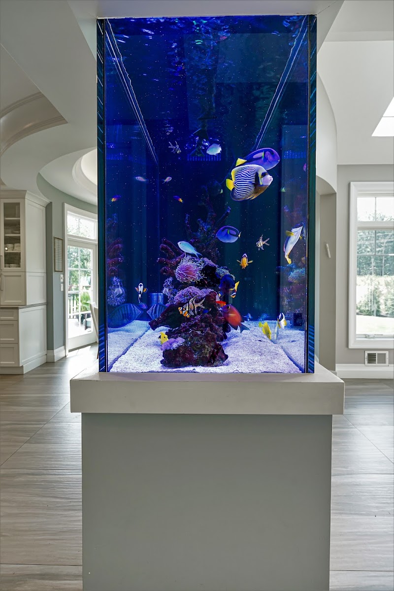 Aqua Creations I Custom Aquariums and Maintenance - Photo 4