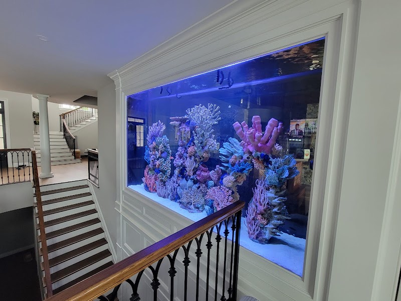 Aqua Creations I Custom Aquariums and Maintenance - Photo 5