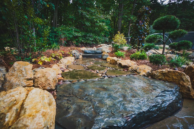 Fitz's Fish Ponds - Photo 3