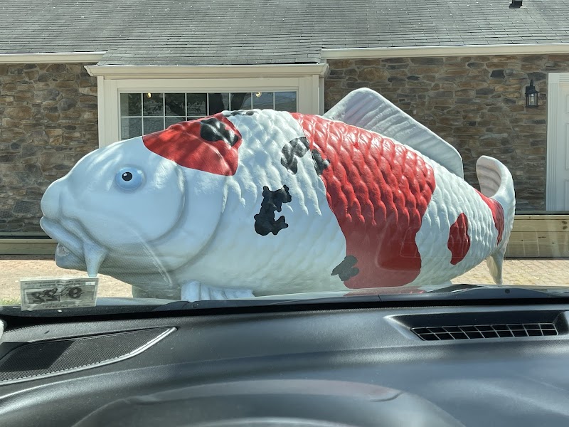 Fitz's Fish Ponds - Photo 4