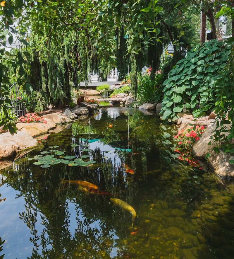 Fitz's Fish Ponds - Photo 5