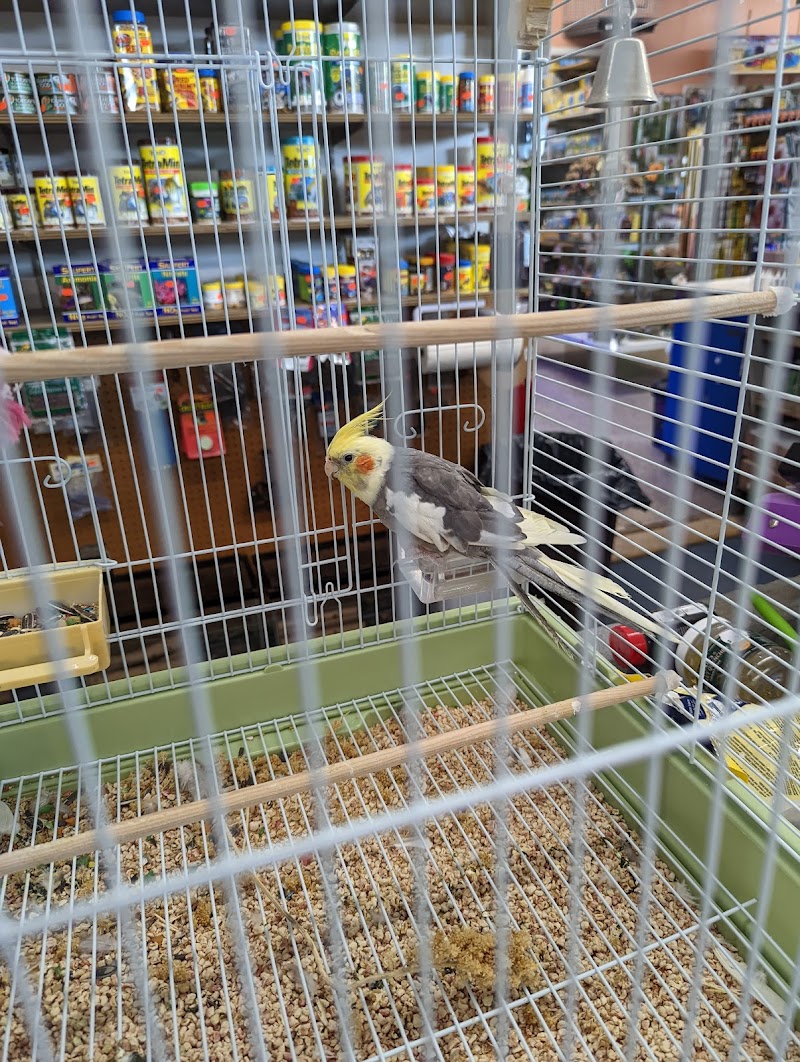 88 Pet World - Photo 3