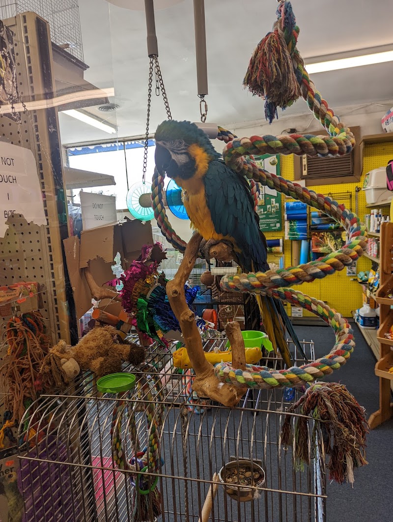 88 Pet World - Photo 5