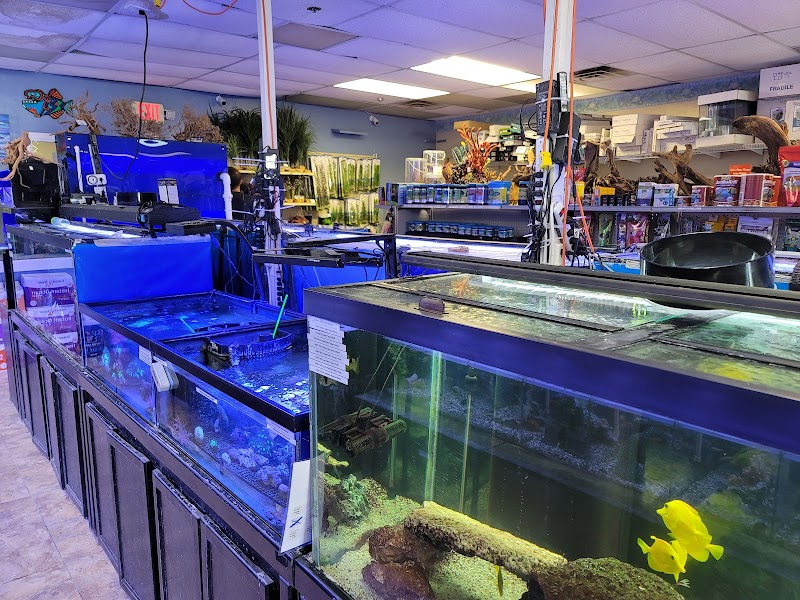 Aquaridise - Photo 3