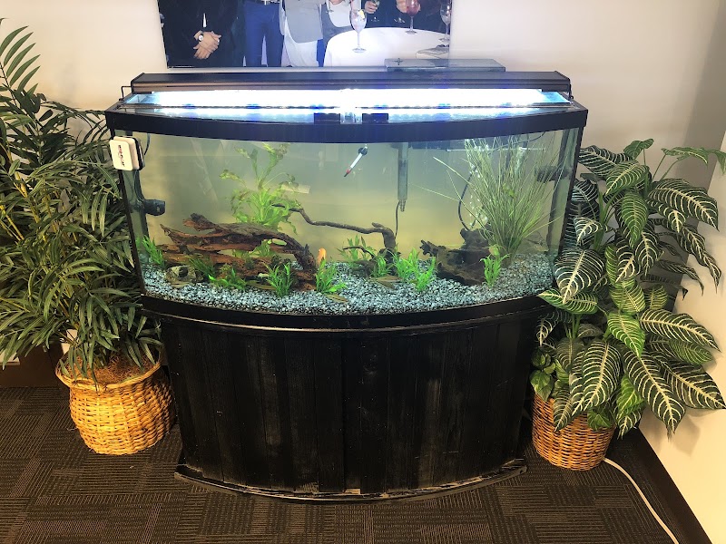 Aquaridise - Photo 4