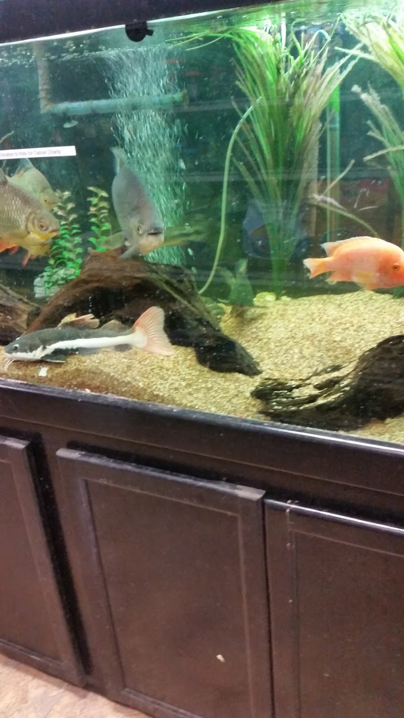 Aquaridise - Photo 5