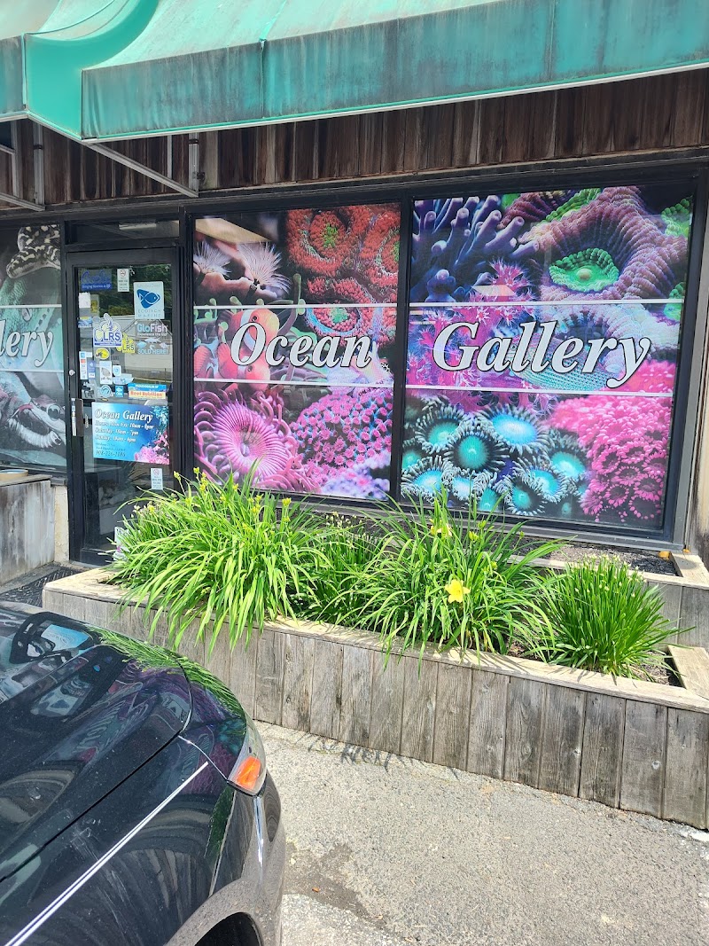 Ocean Gallery - Photo 1