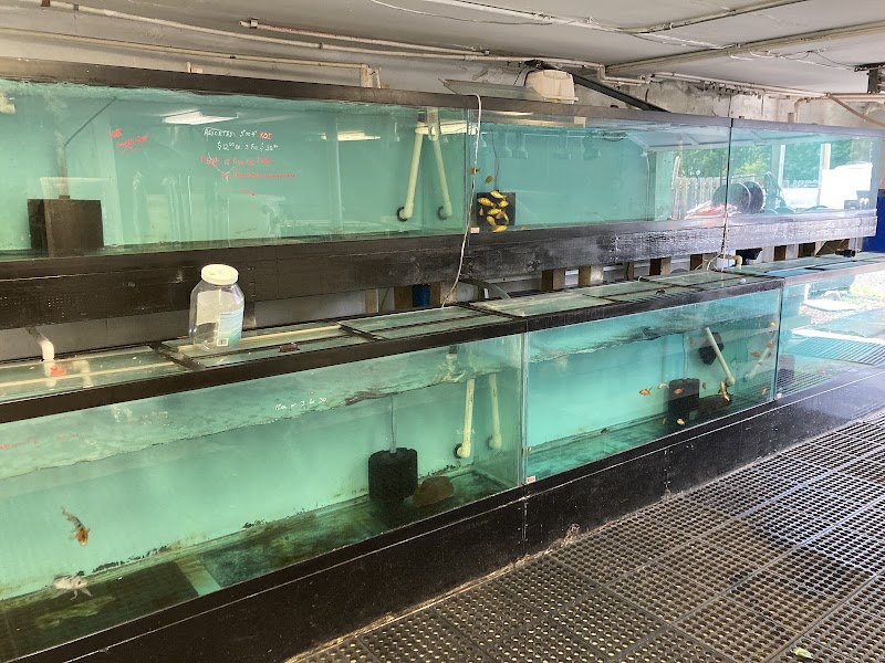 Ocean Gallery - Photo 3