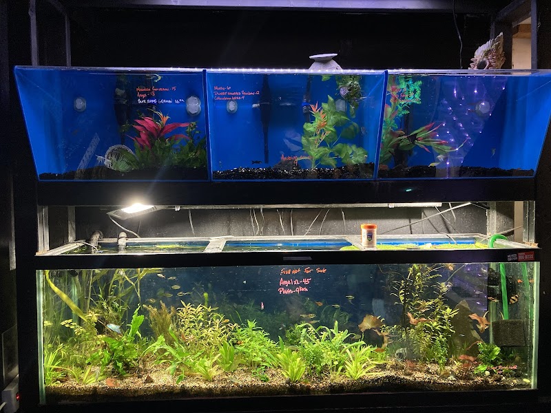 Ocean Gallery - Photo 5