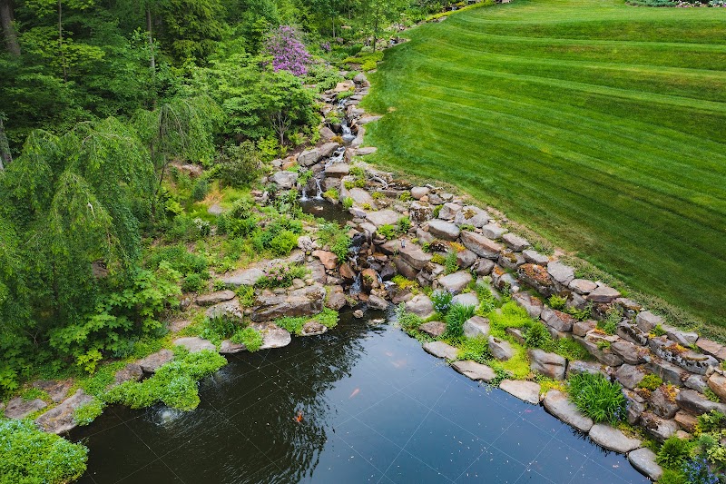 Fitz's Fish Ponds - Photo 1