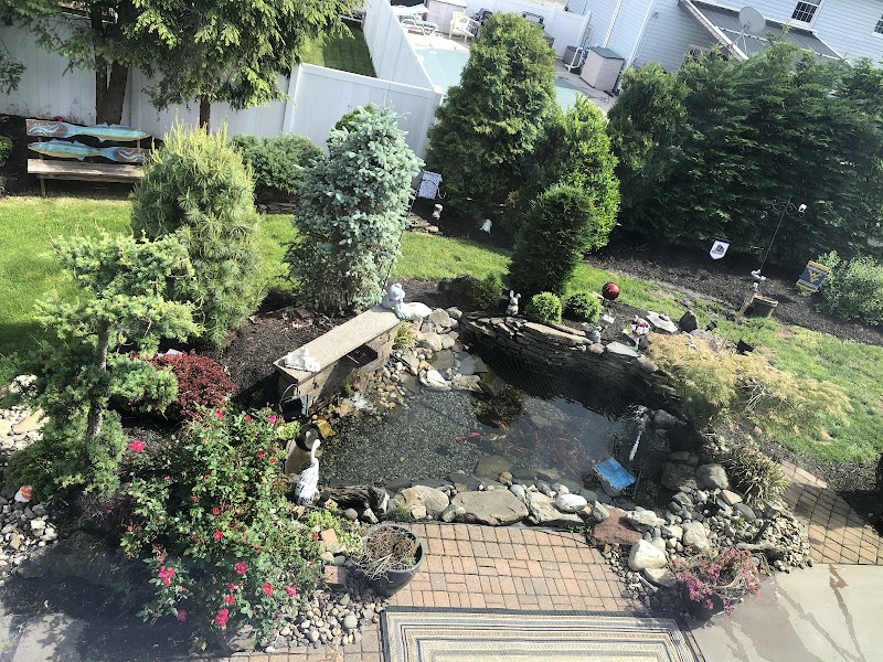 Fitz's Fish Ponds - Photo 2