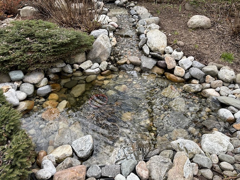Fitz's Fish Ponds - Photo 3