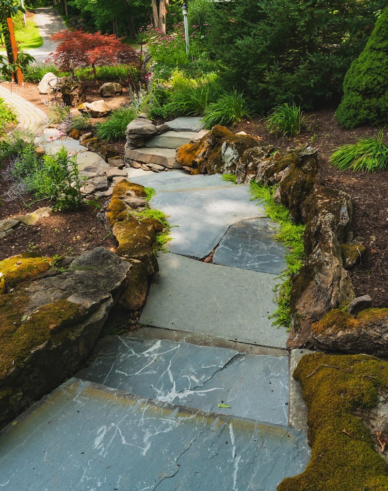 Fitz's Fish Ponds - Photo 4