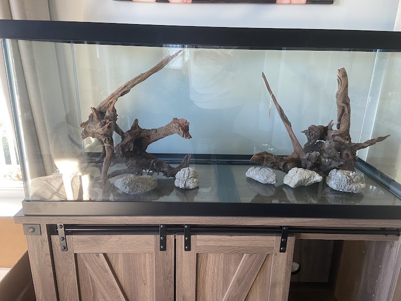 Cuboid Nature Aquarium - Photo 4