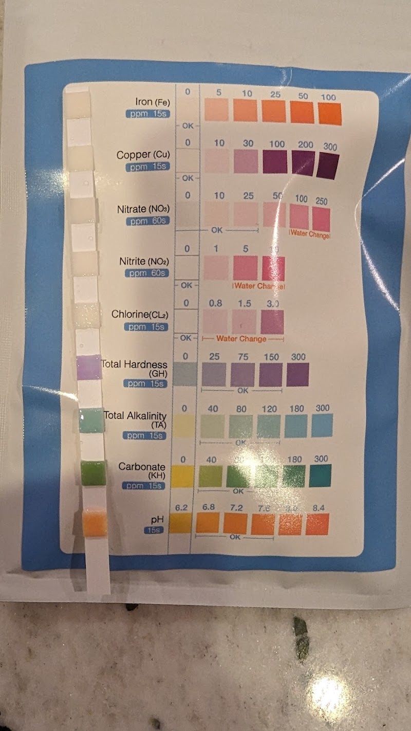 Lily Pond Emporium - Photo 4