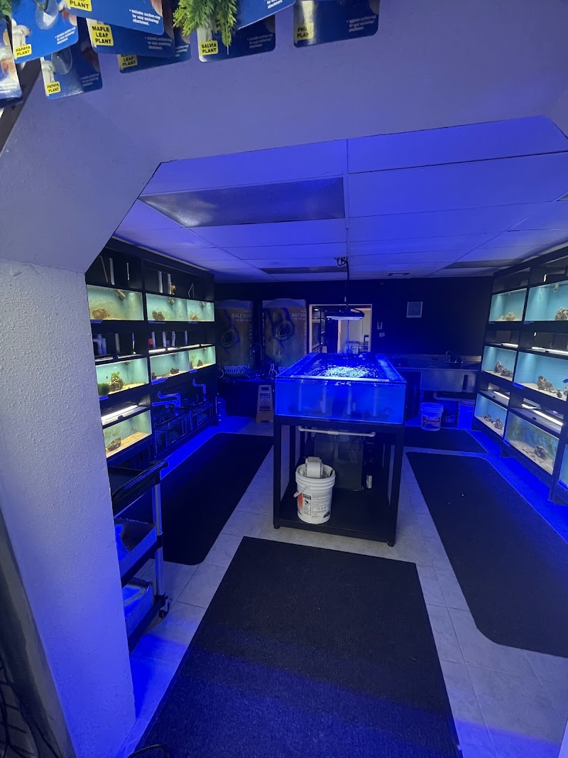 Ocean Aquarium and Ponds - Photo 3