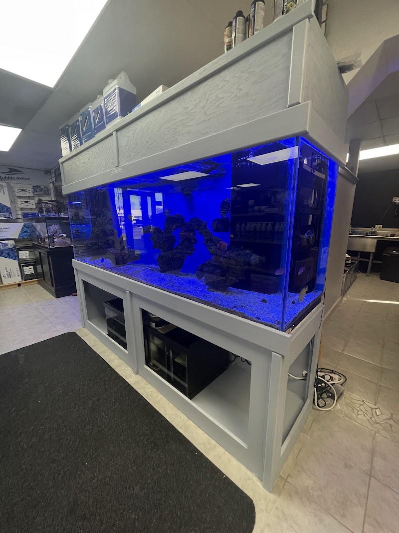 Ocean Aquarium and Ponds - Photo 4