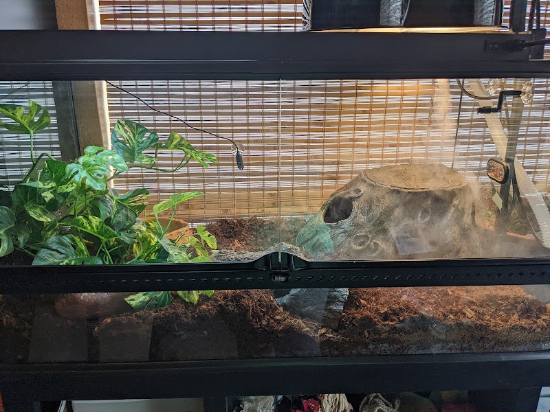 Cross City Exotics - Photo 2