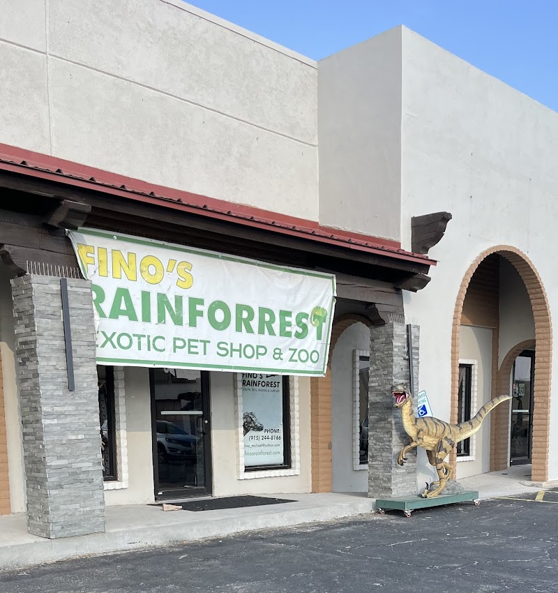 Fino's Rainforest - Photo 1