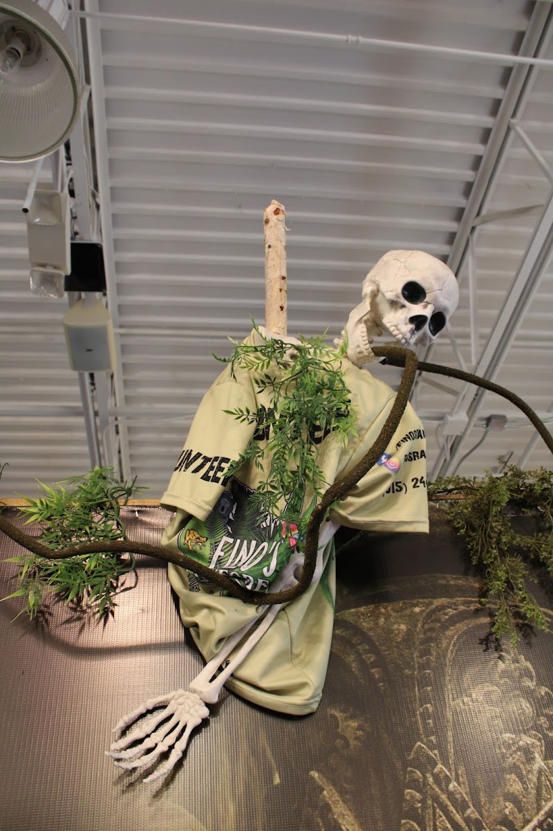 Fino's Rainforest - Photo 4