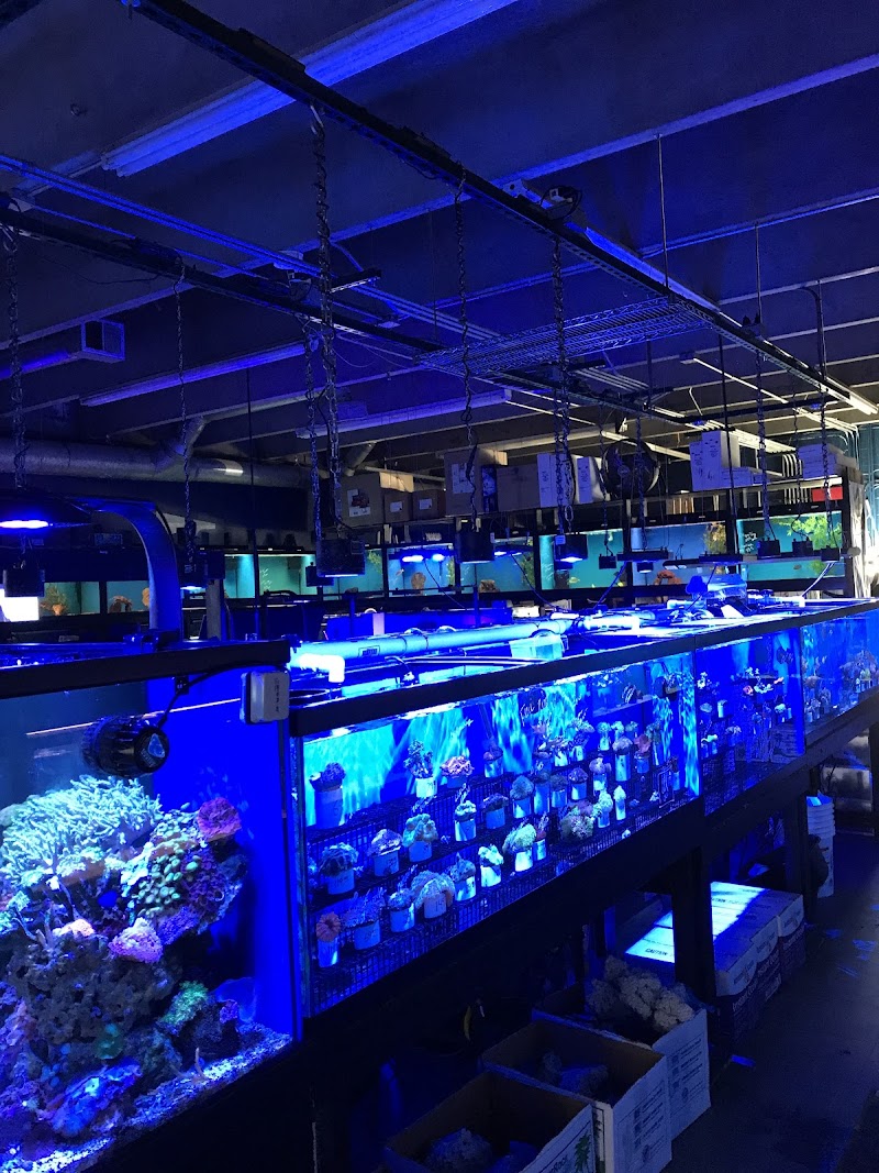 Southwest Reef Co LLC - Photo 2