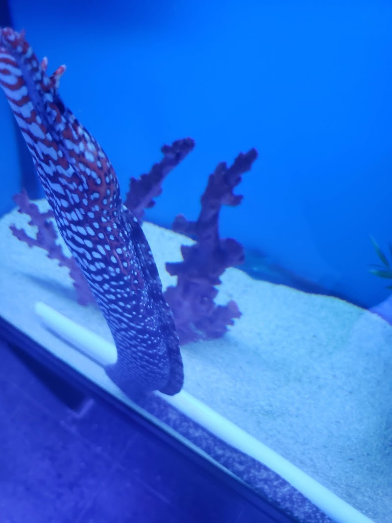 Southwest Reef Co LLC - Photo 3