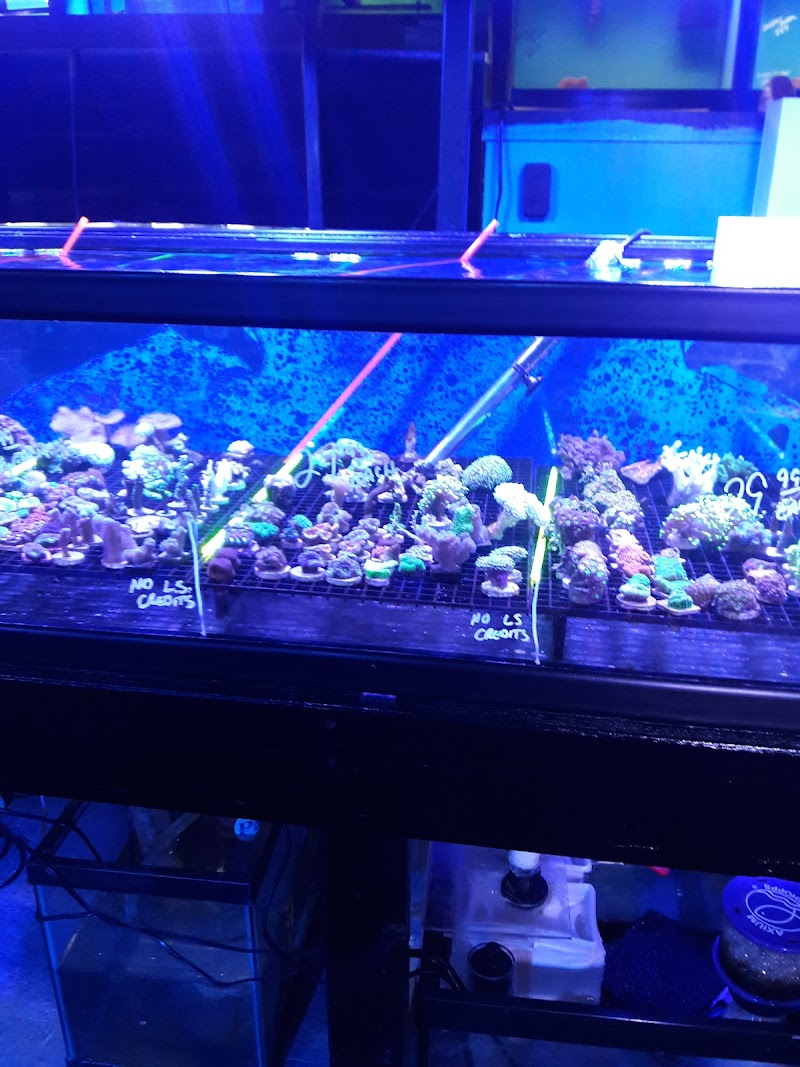 Southwest Reef Co LLC - Photo 4