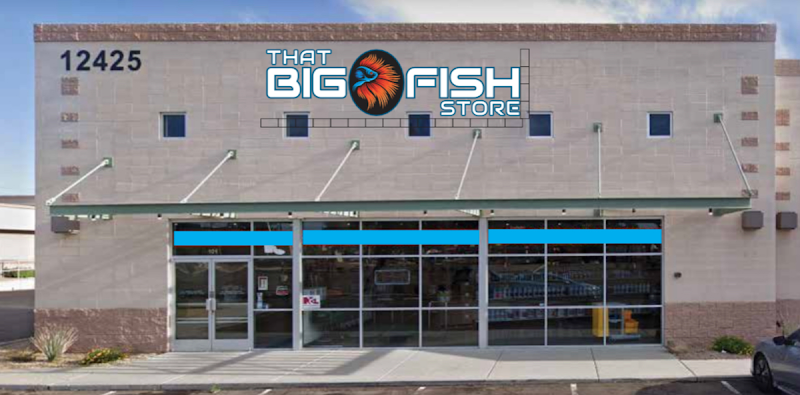 Southwest Seas - Photo 1