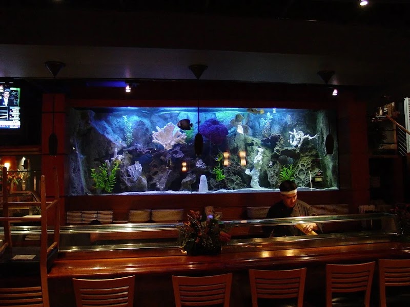 Southwest Seas - Photo 2