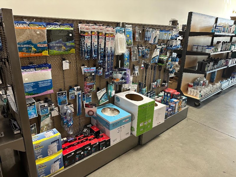 Southwest Seas - Photo 3