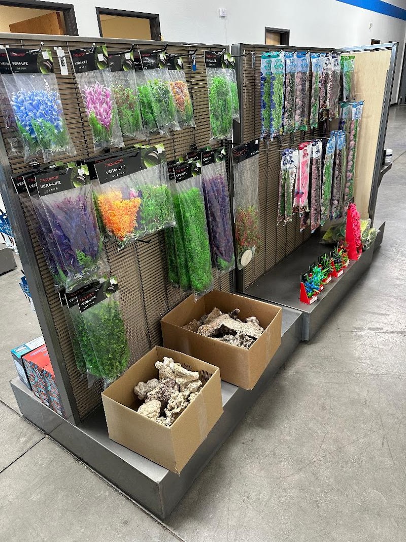 Southwest Seas - Photo 4